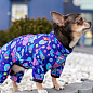 Вітровка для собак WAUDOG Clothes, малюнок "Рік і Морті 1", L55, В 77-79 см, Д 50-55 см (5355-0280)  купить