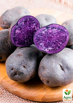 Картофель "Солоха" семенной, ранний, с фиолетовой мякотью (1 репродукция) 0,5кг1