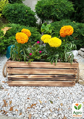 Ящик декоративний дерев'яний для зберігання та квітів "Жиральдо" д. 44см, ш. 17см, ст. 17см. (обпалений з ручками)