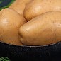Картофель "Доната" семенной ранний (на жарку, универсальное применение, 1 репродукция) 1кг  купить