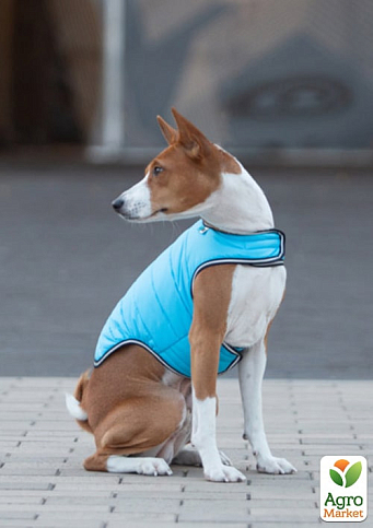 Куртка-накидка для собак AiryVest, L, B 58-70 см, С 42-52 см голубой (15442) - фото 3