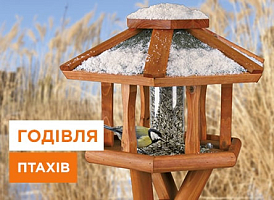 Чим годувати птахів узимку - корисні статті про садівництво від Agro-Market