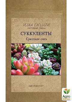 Сукуленти "Барвиста суміш" ТМ "Vesna Exclusive" 10шт11