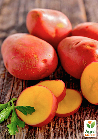 Картофель "Эволюшен" семенной ранний (1 репродукция) 1кг