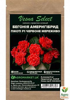 Бегонія Амерігібрид пікоті F1 "Червоне мереживо" ТМ "Vesna Select" 5шт14