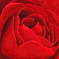 Картина за номерами - Червона троянда ©annasteshka купить
