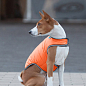 Куртка-накидка для собак AiryVest, XXS, B 29-36 см, С 14-20 см оранжевый (15404) купить