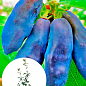 Жимолость "Синий банан" (высокоурожайный, крупноплодный сорт)