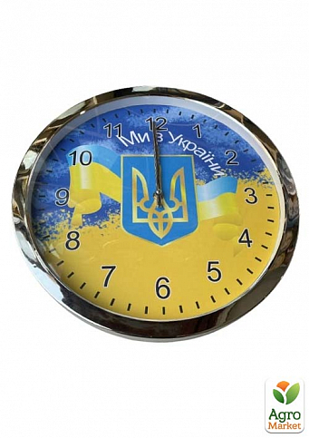 Настенные часы "Мы с Украины" S5 большие 35см
