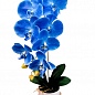 Орхидея сине-голубая  искусственная латексная (16219)