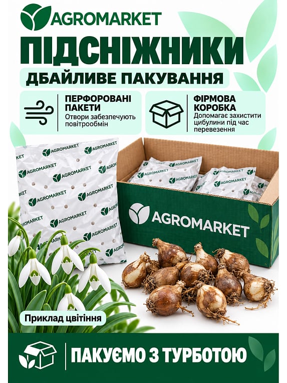 Пролісок (галантус) "Білий" 5шт в упаковці