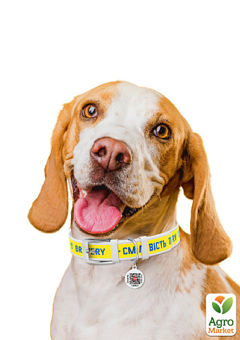 Ошейник для собак кожаный WAUDOG Design с QR паспортом, рисунок "Смелость", XXS, Ш 12 мм, Длин 18-24 см, белый белый (3601-0231-15) - фото 2
