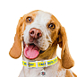 Ошейник для собак кожаный WAUDOG Design с QR паспортом, рисунок "Смелость", XXS, Ш 12 мм, Длин 18-24 см, белый белый (3601-0231-15) купить