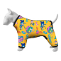 Ветровка для собак WAUDOG Clothes, рисунок "Рик и Морти 3", XS25, В 36-38 см, Д 26-28 см (5325-0282)