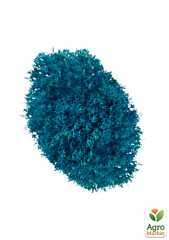 Стабілізований мох Ягель "Блакитний" 500 г