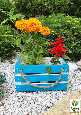 Ящик дерев'яний для зберігання декору та квітів "Бланш" довжина 25см, ширина 17см, висота 13см. (синій з великими ручками) - фото 3