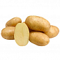 Картопля "Раномі" насіннєва рання (1 репродукція) 1кг купить