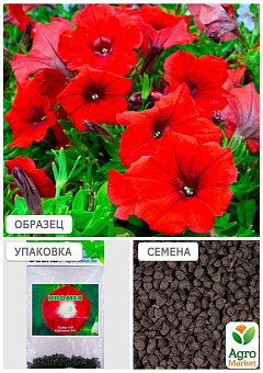 Ипомея красная (Зипер) ТМ "Весна" 1г6