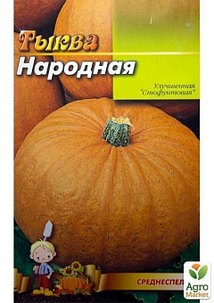 Тыква "Народная" (Большой пакет) ТМ "Весна" 8г13