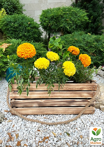 Ящик декоративный деревянный для хранения и цветов "Жиральдо" д. 44см, ш. 17см, в. 17см. (обожжённый с длинной ручкой) - фото 3