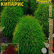Кохия "Летний кипарис" ТМ "Аэлита" 0.5г