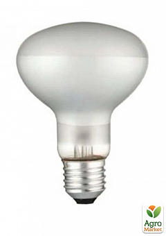 Лампа Lemanso R-80 100W матова (558080)2