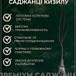 Кизил "Коралловый Марка" (ранний срок созревания) купить
