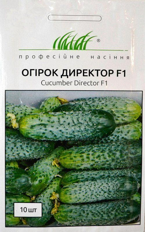 Огурец "Директор F1" ТМ "Hem Zaden" 10шт