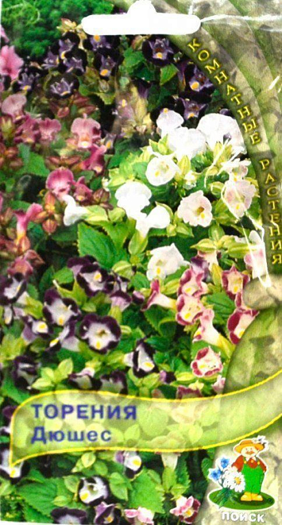 Торенія "Дюшес" ТМ "Пошук" 5шт