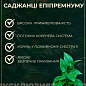 Епіпремнум "Global Green" (підвісний вазон, довжина пагонів 80-120см) цена