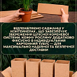 Фікус Бенджаміна "Natasja"