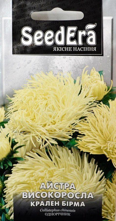 Астра "Крален Бирма" ТМ "SeedEra" 0.25г