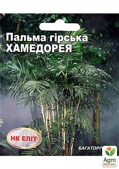 Пальма  горная "Хамедорея" ТМ "НК ЭЛИТ" 5шт22