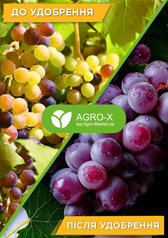 Гранулированное минеральное удобрение BIOGrand "Для винограда" (БИОГранд) ТМ "AGRO-X" 1кг - фото 3