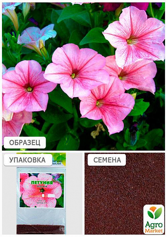 Петунія рожева (Зипер) ТМ "Весна" 1г - фото 3