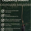 Інжир "Брева" (великоплідний, самоплідний сорт) купить