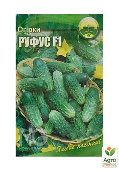 Огурец "Руфус F1" ТМ "Весна" 0.5г17