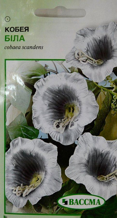 Кобея "Белая" ТМ "ВАССМА" 0.25г