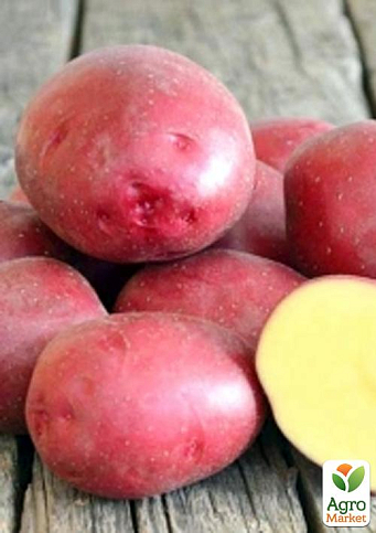 Картопля "Рікарда" насіннєва рання (1 репродукція) 1кг