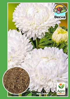Айстра "Перлина" ТМ "Весна" 0.2г