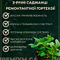 Гортензія ремонтантна круплолистна 3х літня «Папілон» цена