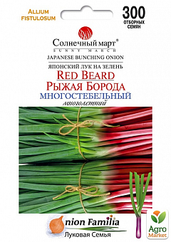 Лук на зелень "Рыжая борода" ТМ "Солнечный март" 300шт2
