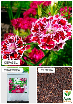 Гвоздика "Китайська" (Зипер) ТМ "Весна" 1г10