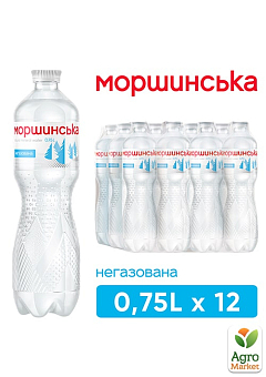 Мінеральна вода Моршинська негазована 0,75л (упаковка 12 шт)1
