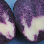 Насіннєва картопля фіолетова "Павич" (1 репродукція) 1кг цена