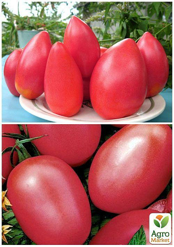 На вагу Томат "Ельдорадо червоний" ТМ "Весна" ціна за 1г - фото 3