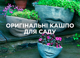 Оригінальні кашпо для саду — натхнення, вибір і поради | Agro-market
