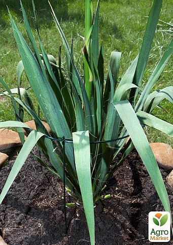 Опора для рослин ТМ "ORANGERIE" тип Ri (зелений колір, висота 400 мм, кільце 160 мм, діаметр дроту 3/3 мм) - фото 3