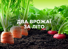 Що посадити для двох урожаїв за сезон | Agro-market