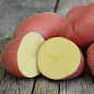 Картопля "Белла Росса" насіннєва рання (1 репродукція) 1кг цена